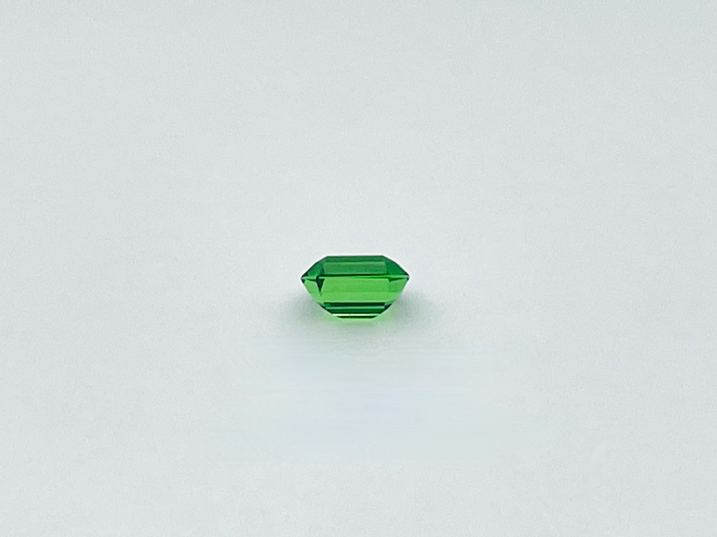 Green tsavorite garnet octagonal
