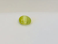 Small round green-yellow Cat's Eye Chrysoberyl gem with white stripe across centre, white background.
