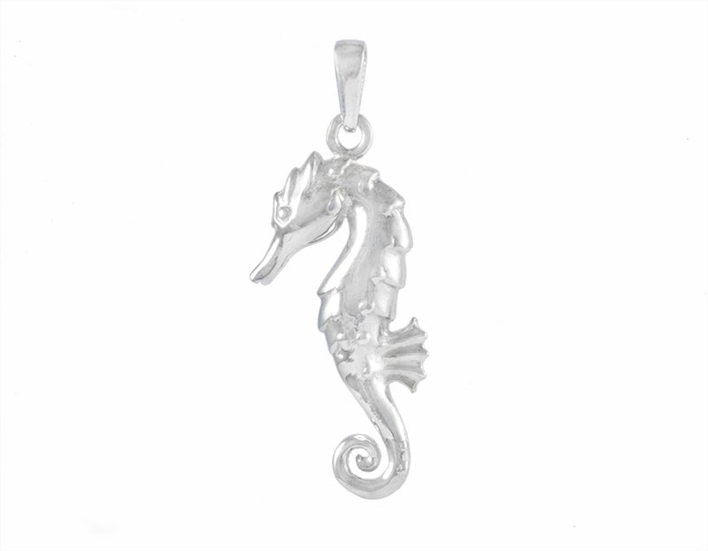 Seahorse