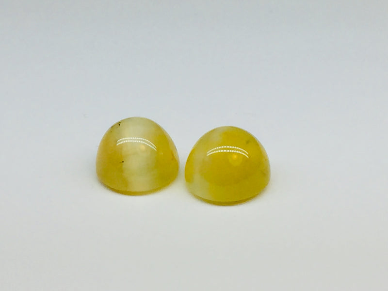 A pair of yellow opal with cat's eye phenomenon.